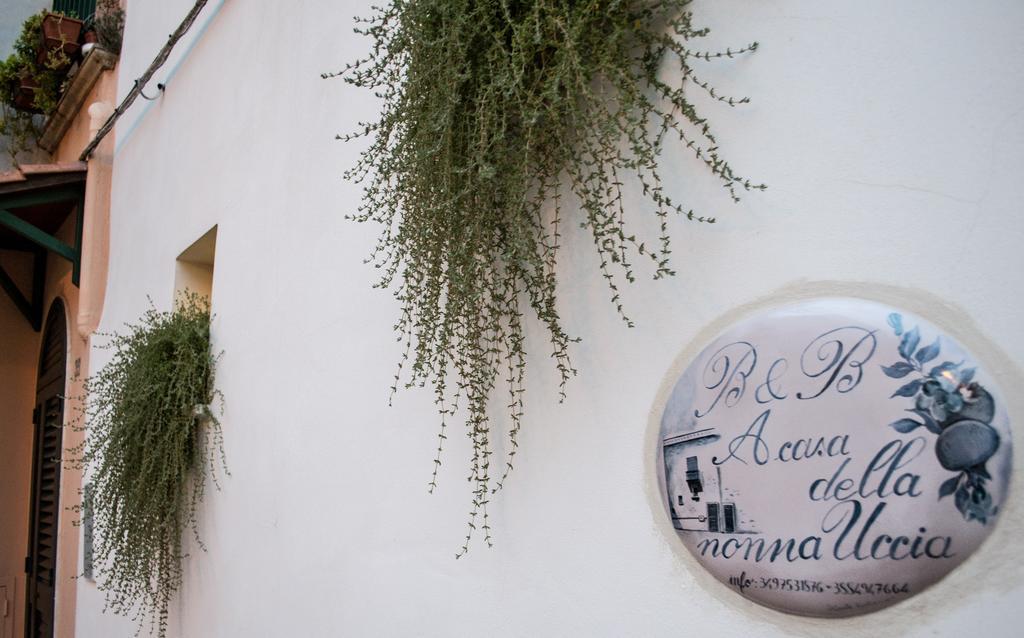 B&B A Casa Della Nonna Uccia นาร์โด ภายนอก รูปภาพ